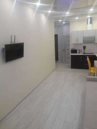 Апартаменты Апартаменты возле моря Одесса Апартаменты с 1 спальней-11