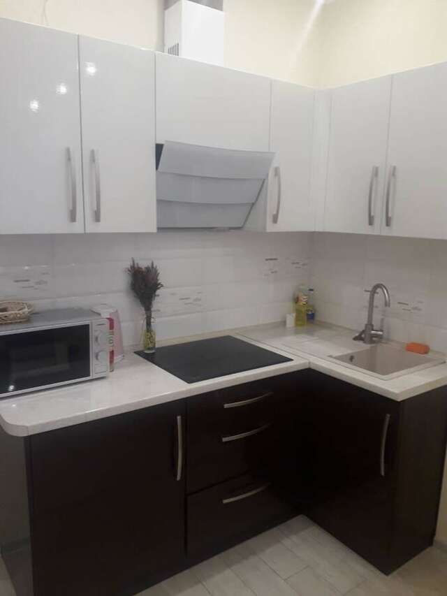 Апартаменты Апартаменты возле моря Одесса-3